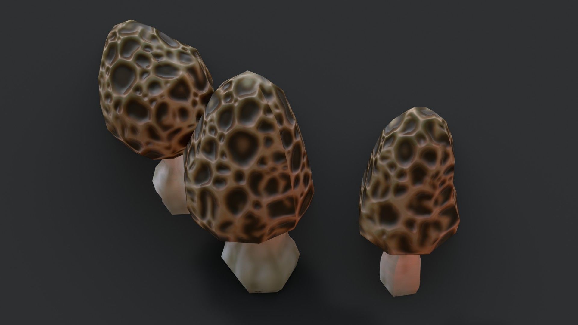 Morel Mushroom Set Low-poly 3D model_5