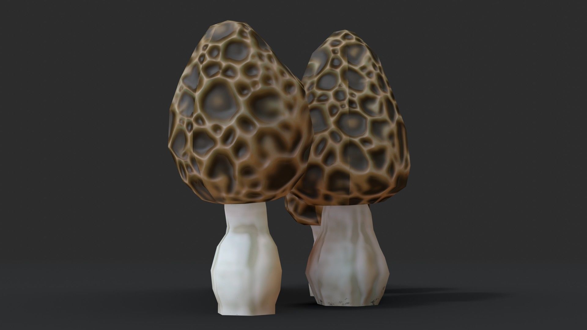 Morel Mushroom Set Low-poly 3D model_7