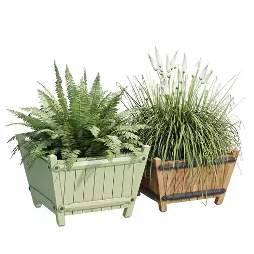 Exeter two planters with ferns and grasses