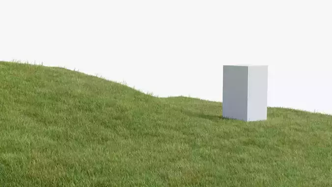 Grass Field 3D model
