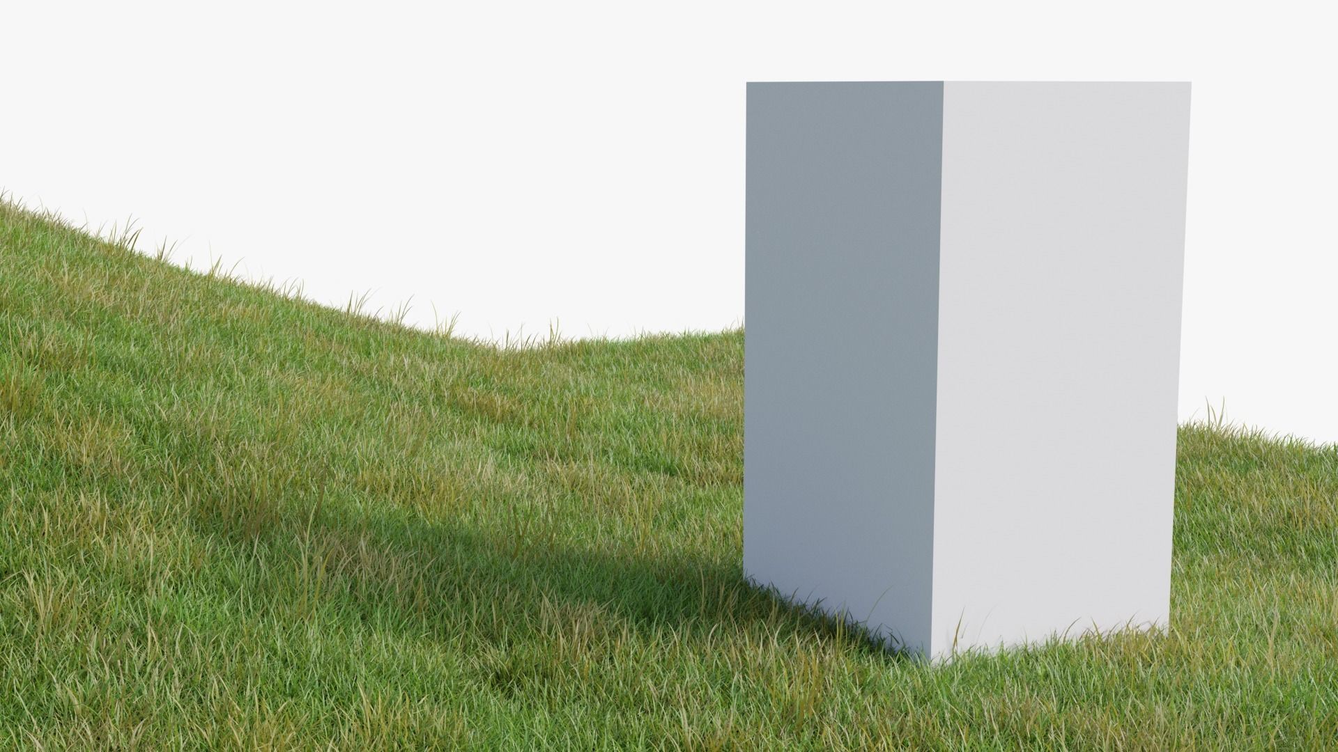 Grass Field 3D model_4