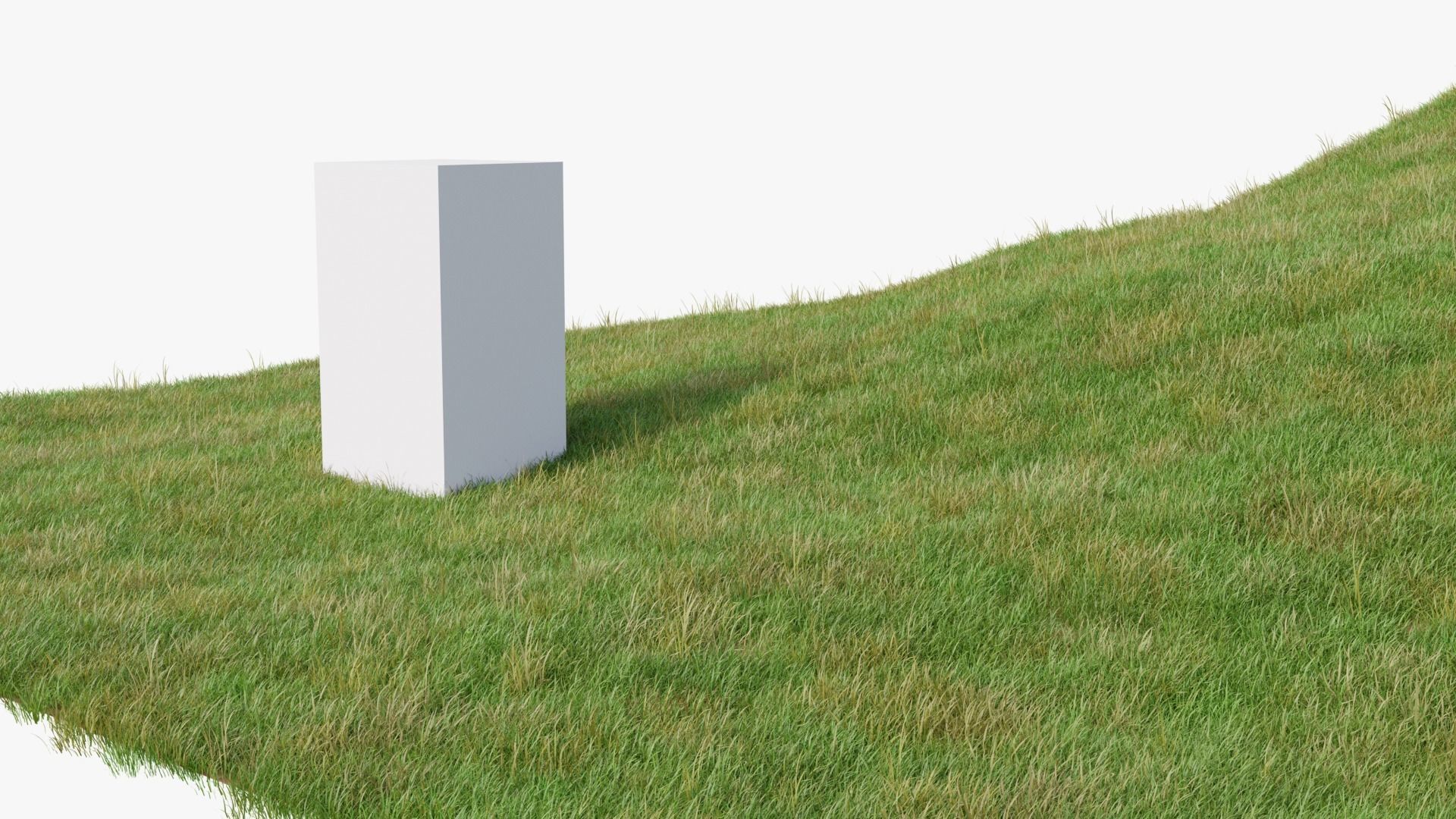 Grass Field 3D model_2