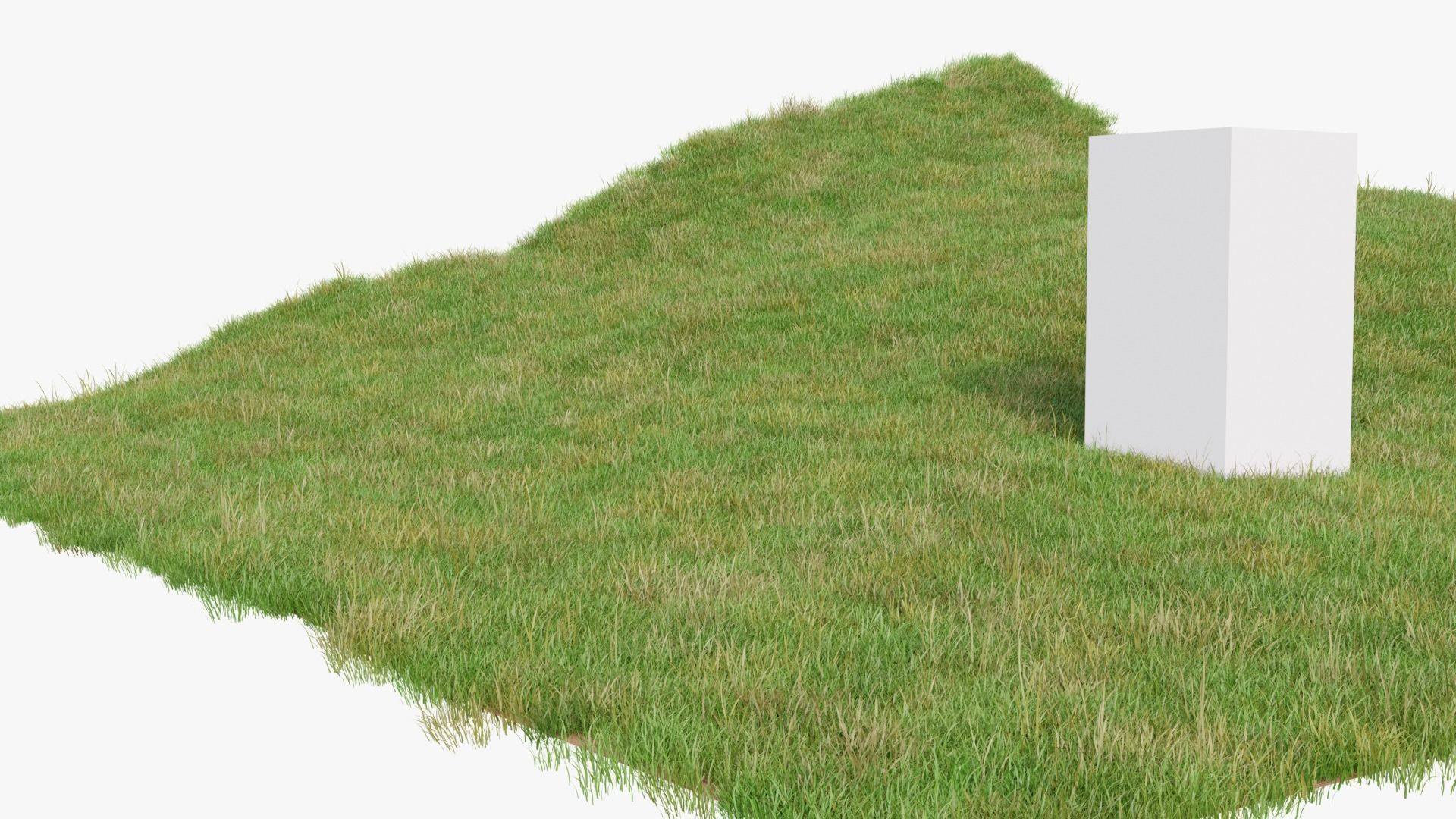 Grass Field 3D model_1