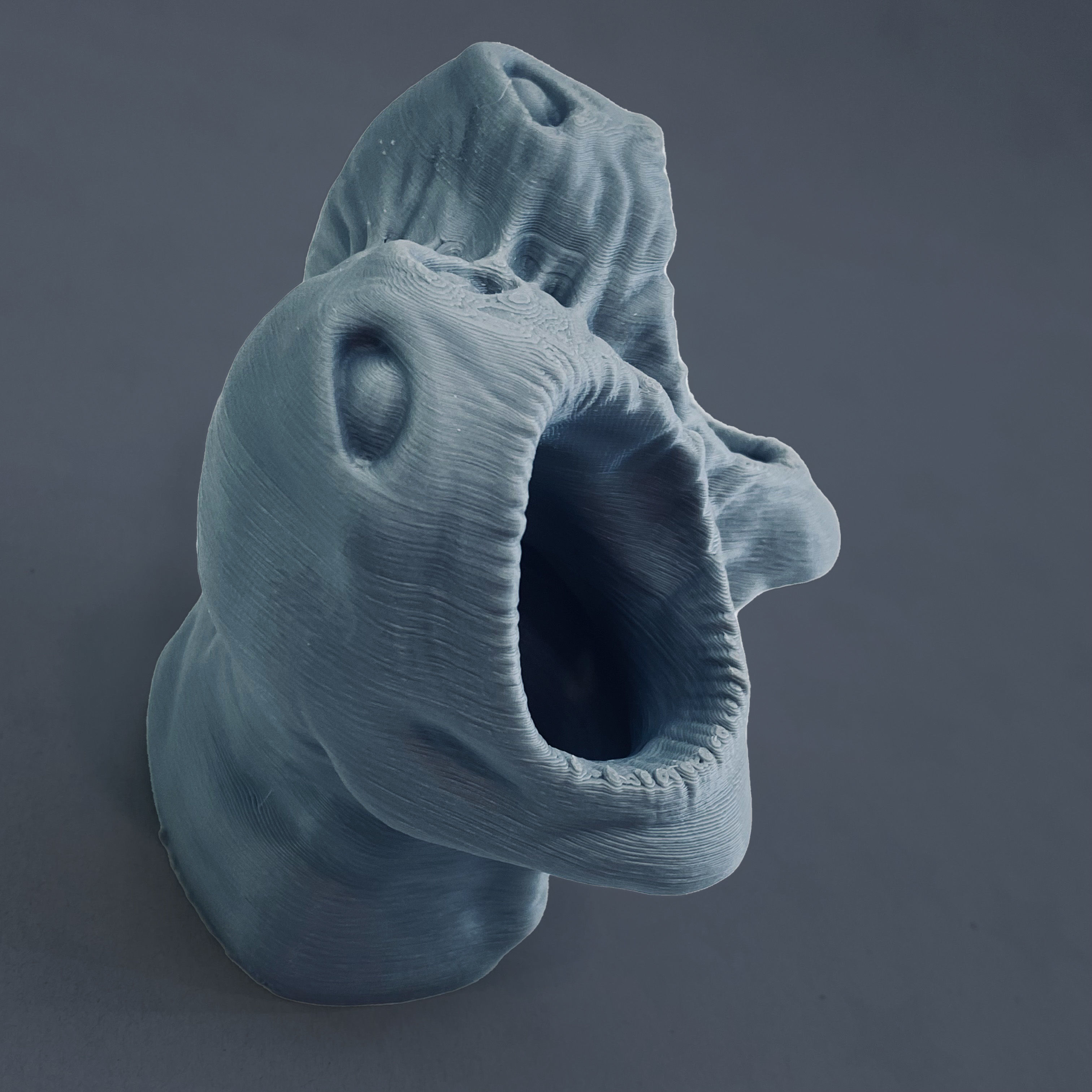 horror pot 2 heads for 3d printer-high poly model 3D print model_2