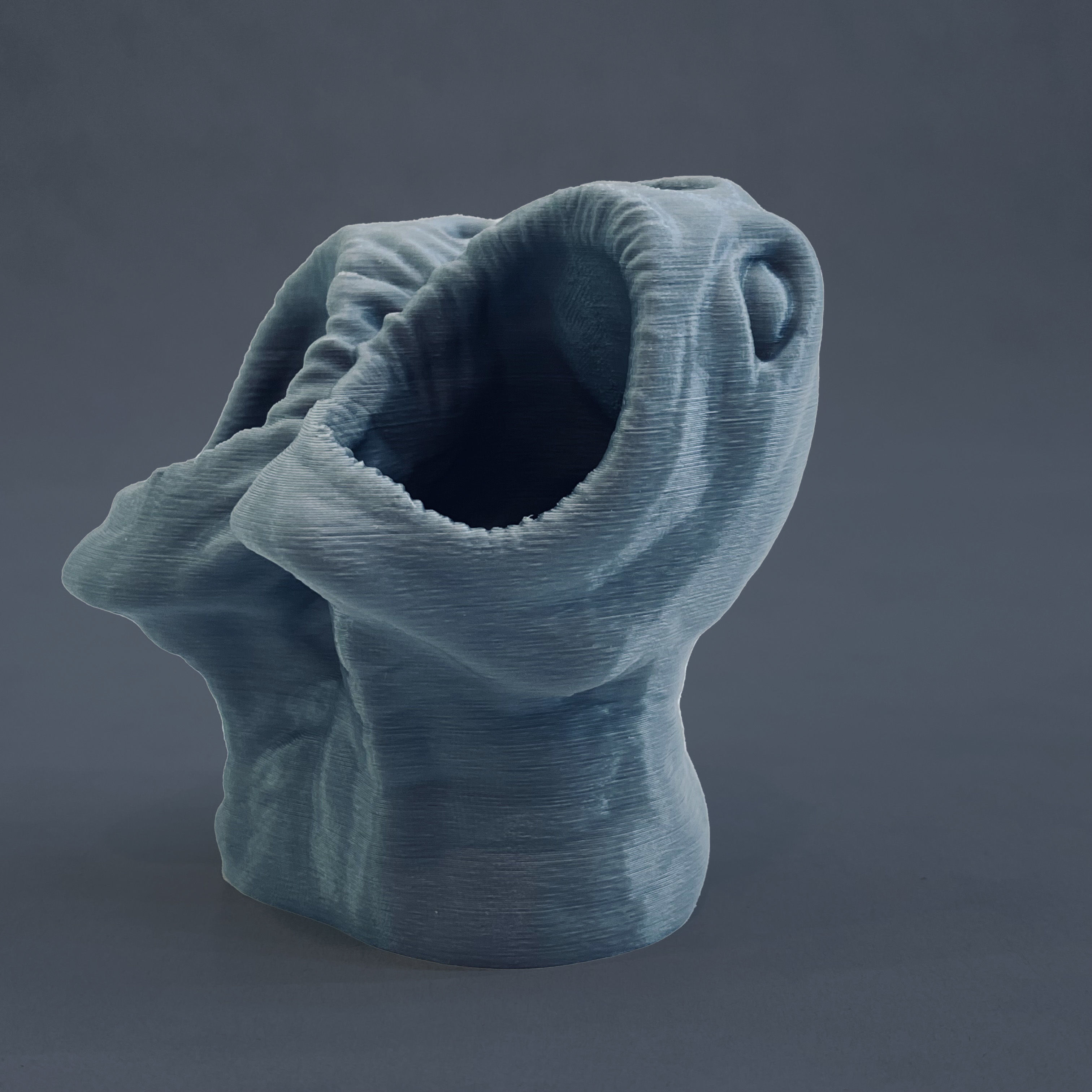 horror pot 2 heads for 3d printer-high poly model 3D print model_21