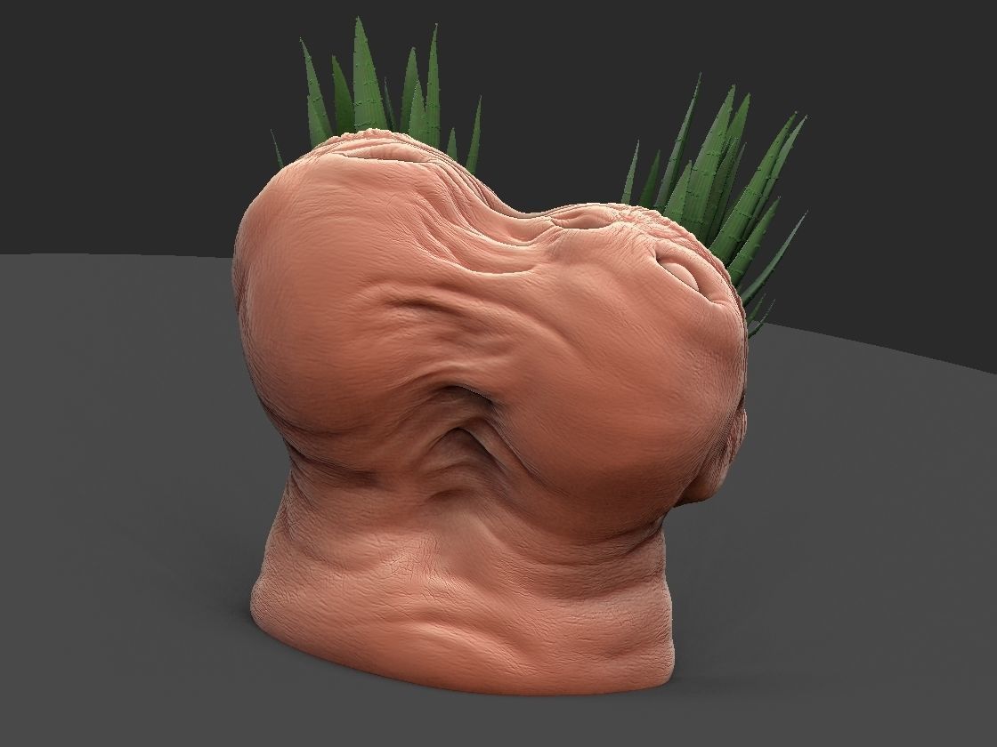 horror pot 2 heads for 3d printer-high poly model 3D print model_13