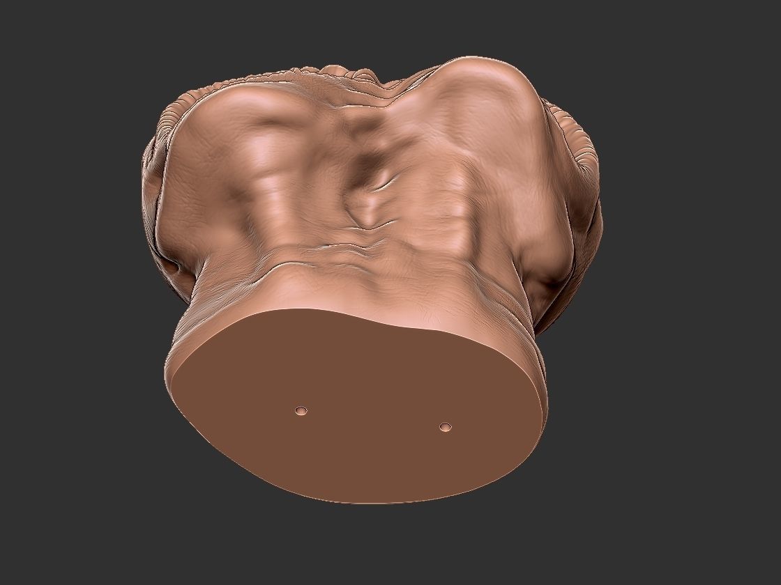 horror pot 2 heads for 3d printer-high poly model 3D print model_16