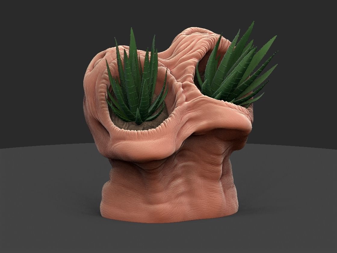 horror pot 2 heads for 3d printer-high poly model 3D print model_12
