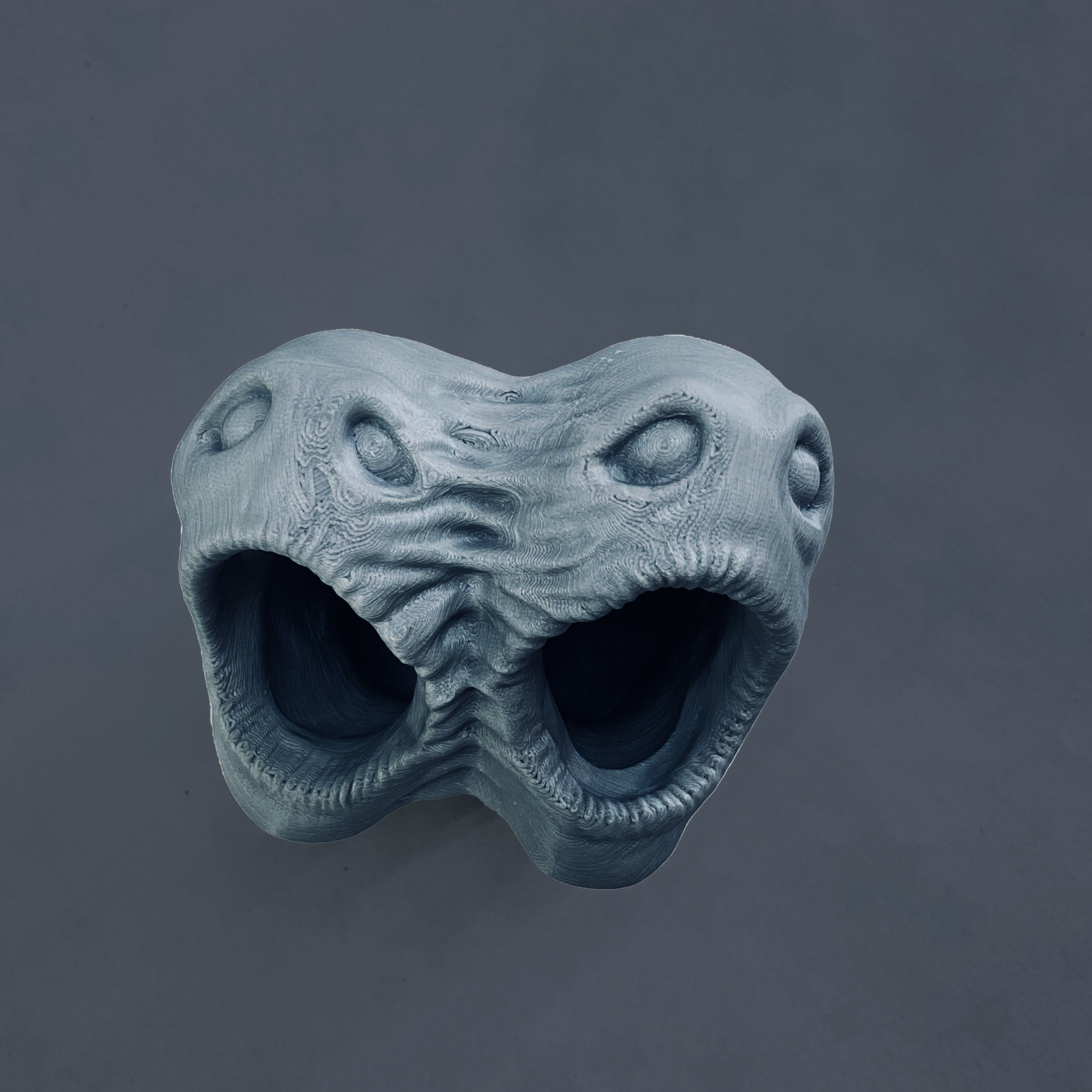 horror pot 2 heads for 3d printer-high poly model 3D print model_1