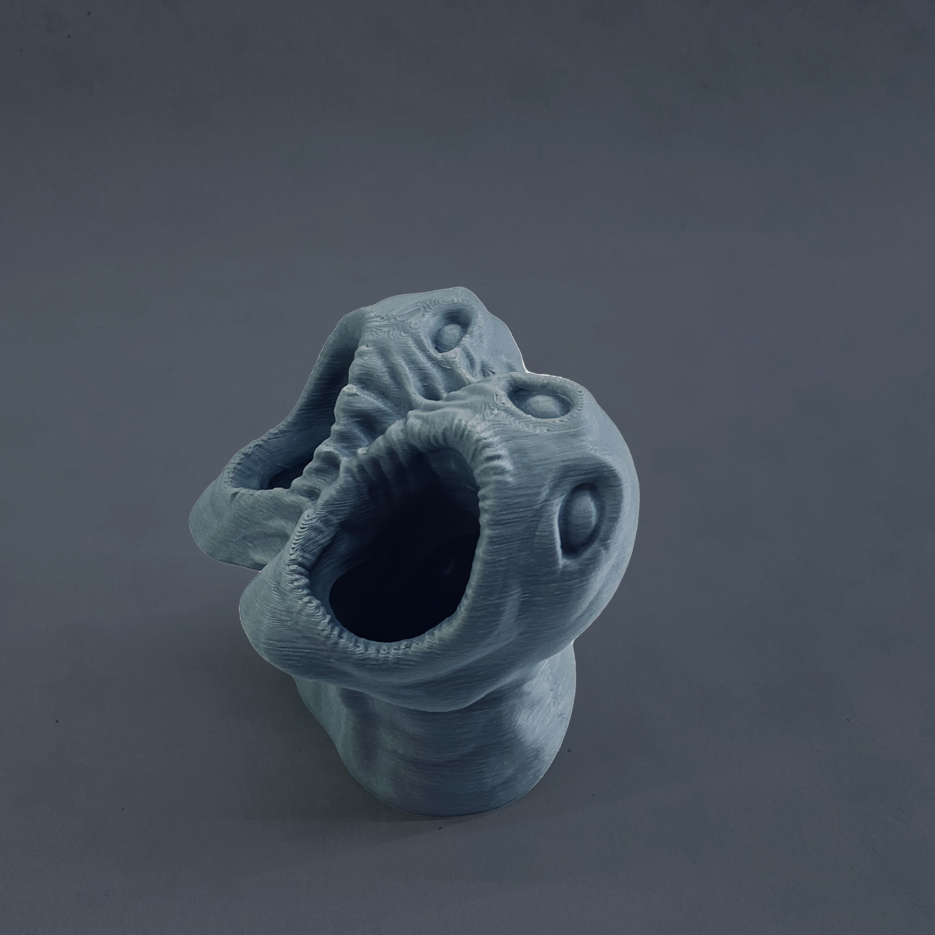 horror pot 2 heads for 3d printer-high poly model 3D print model_6