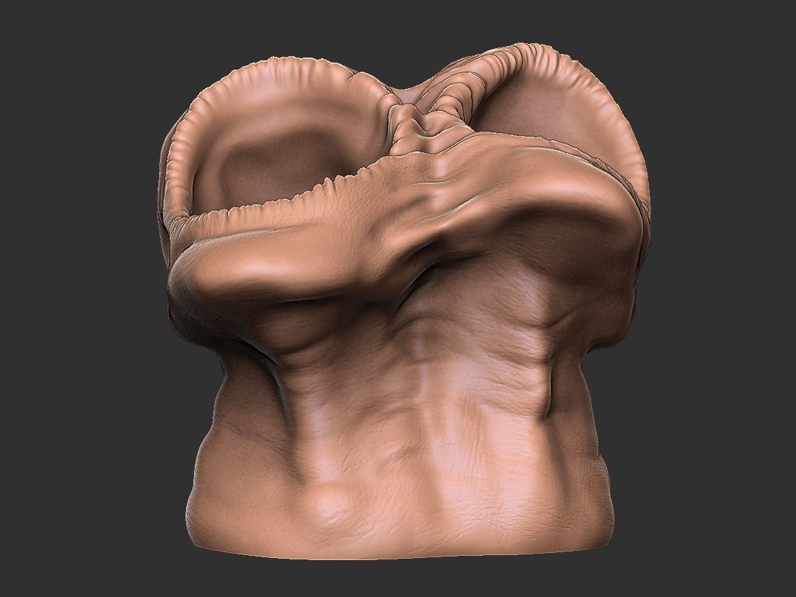 horror pot 2 heads for 3d printer-high poly model 3D print model_15