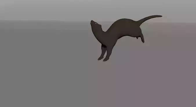 Ferret Rig 3D model
