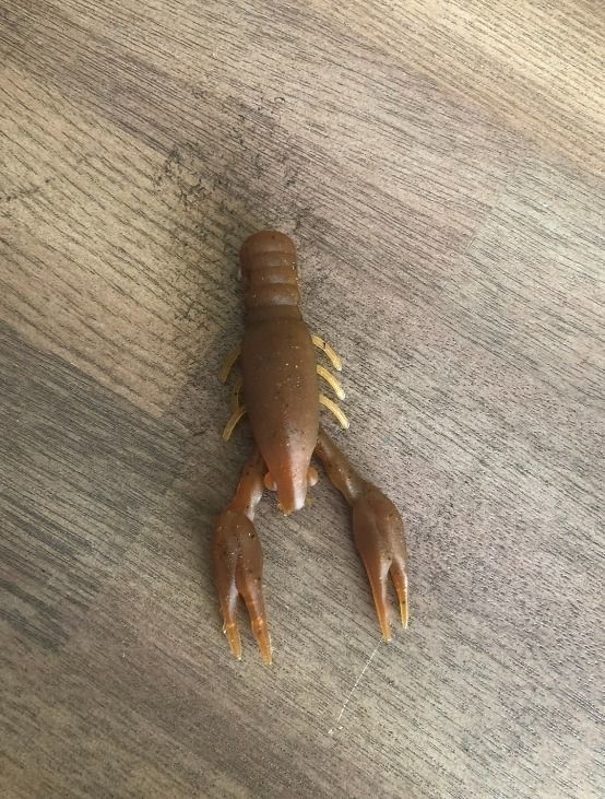 CRAWFISH HINGE MOLD 3D print model_1