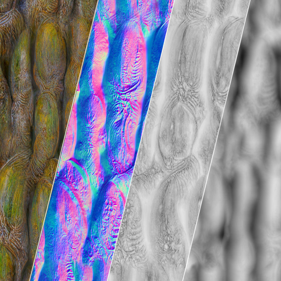 Green Fantasy Tree Bark Texture_5