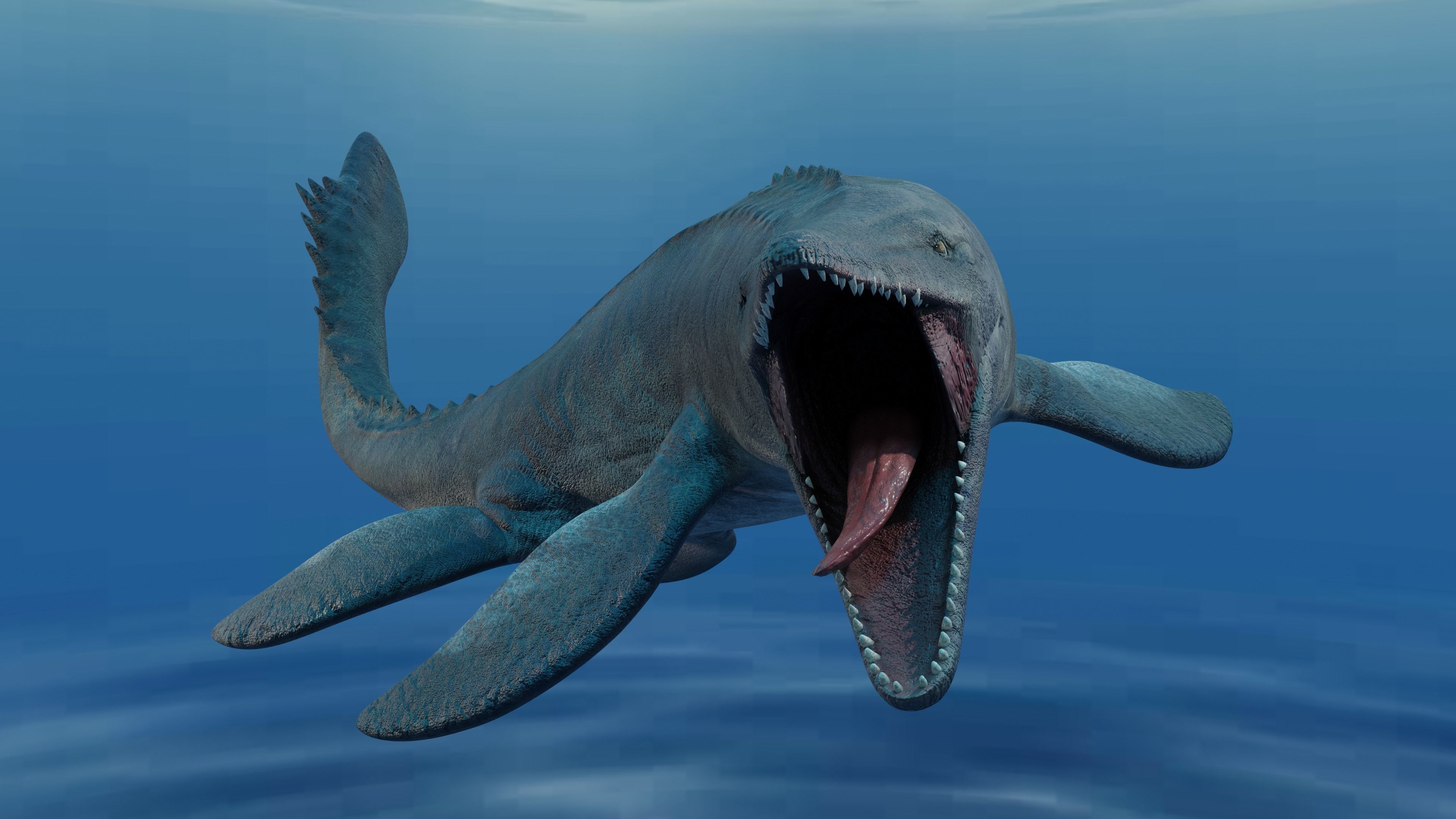 Mosasaurus Animated Low-poly 3D model_5