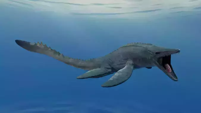 Mosasaurus Animated Low-poly 3D model