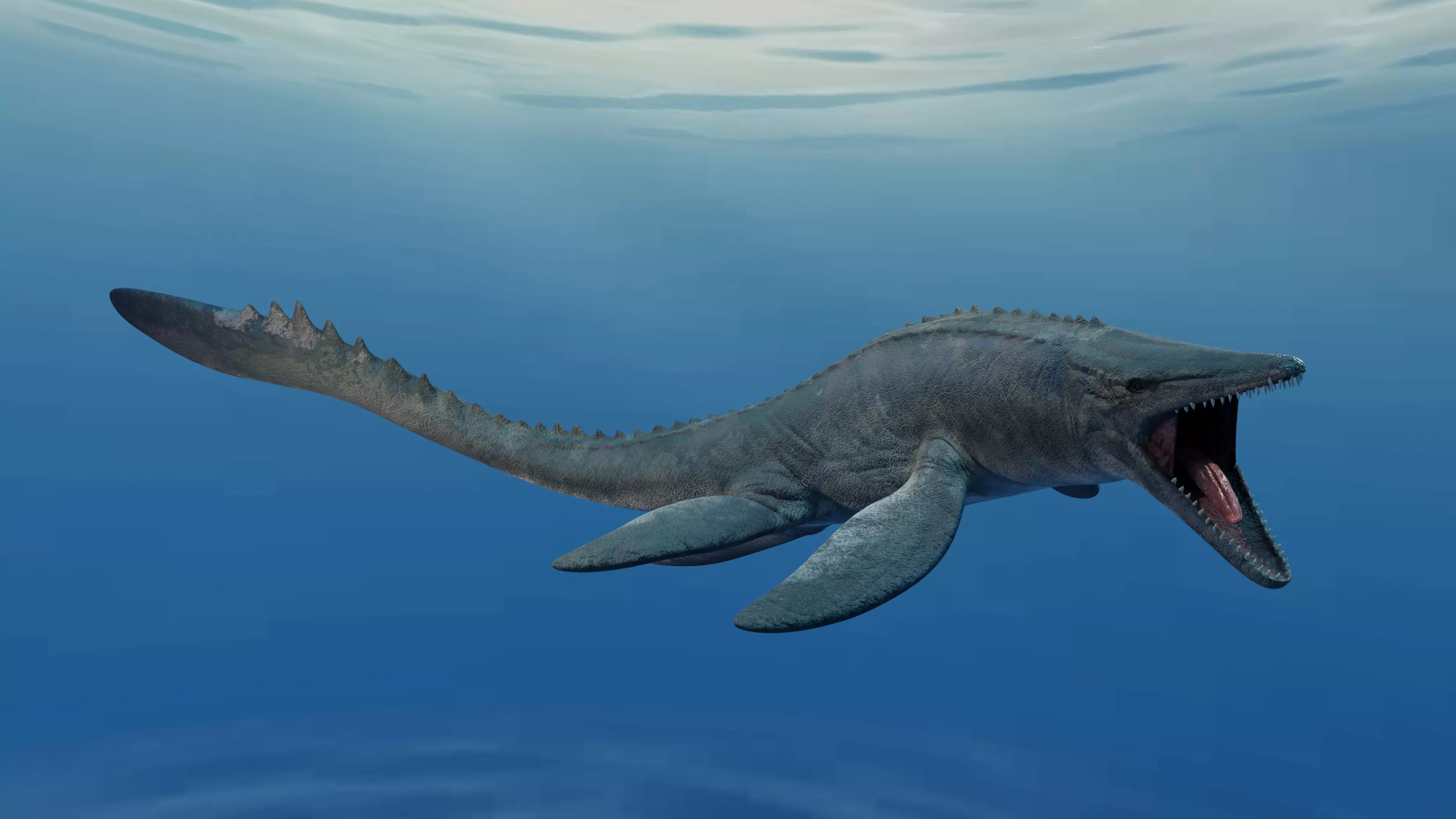 Mosasaurus Animated Low-poly 3D model_0