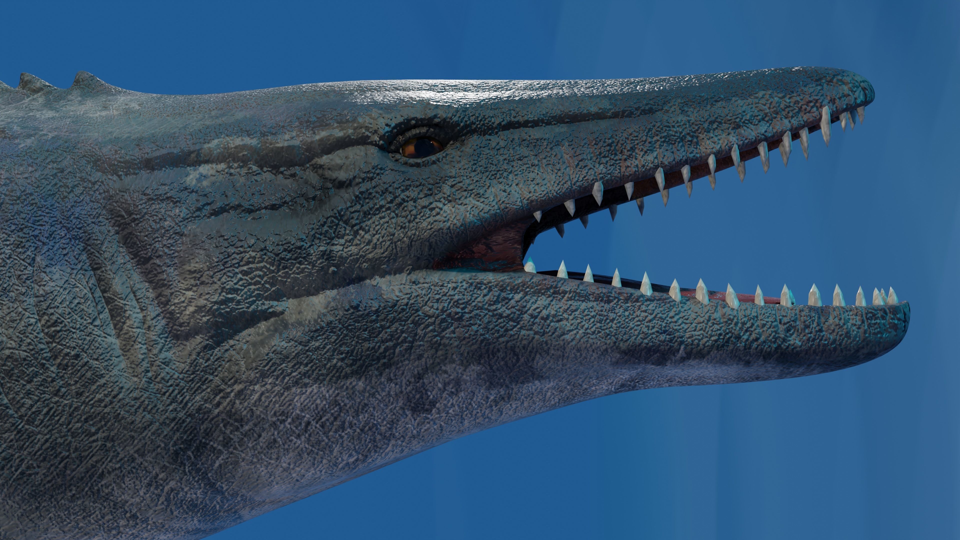 Mosasaurus Animated Low-poly 3D model_6
