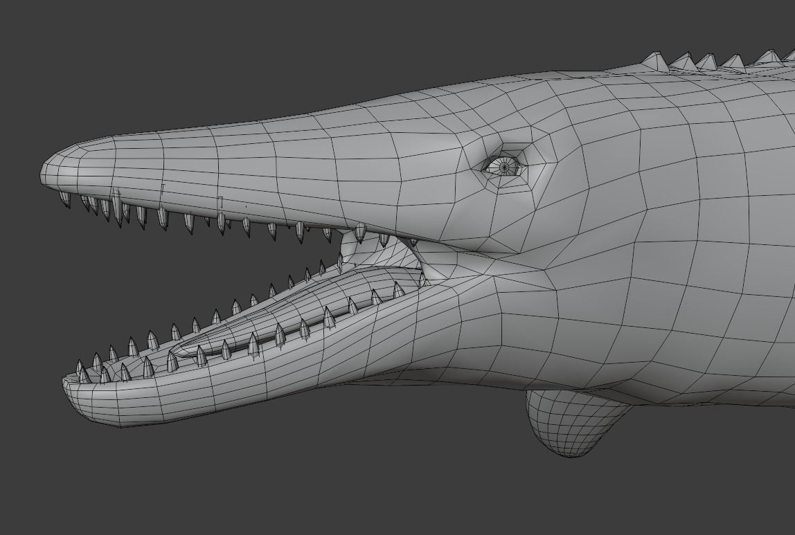 Mosasaurus Animated Low-poly 3D model_13