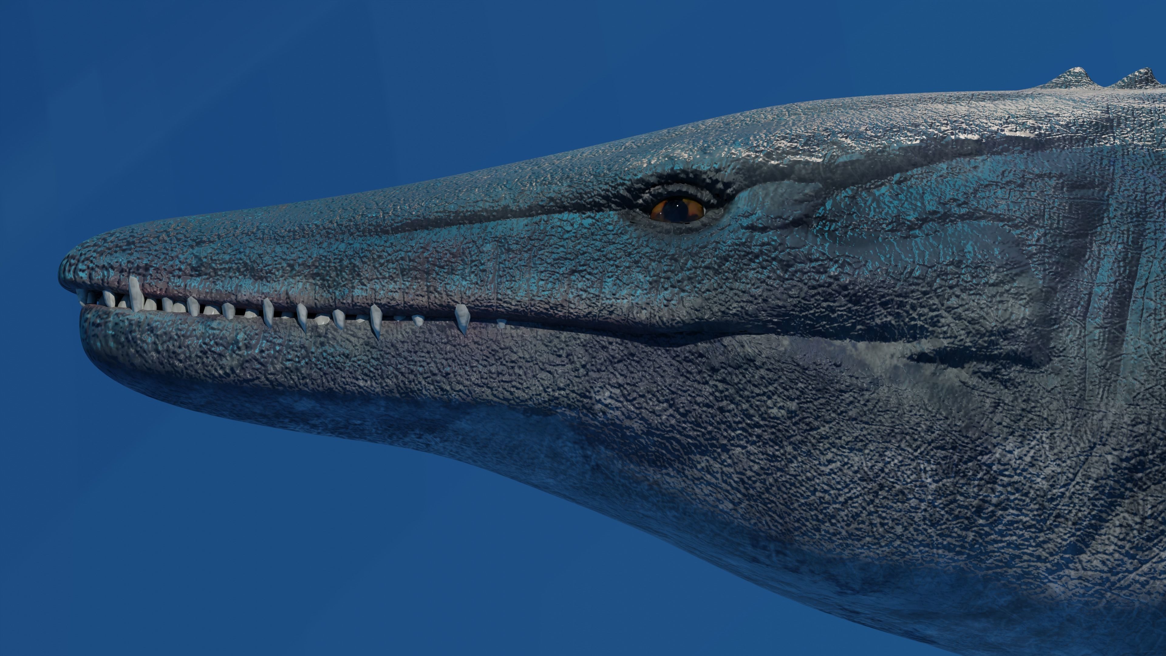 Mosasaurus Animated Low-poly 3D model_8