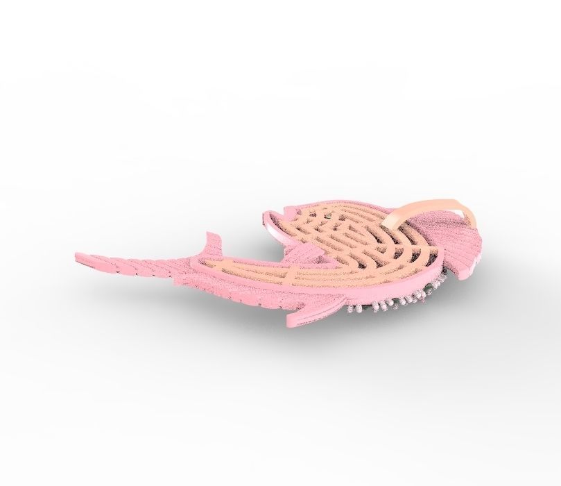jumping Mahi Mahi 3D print model_10