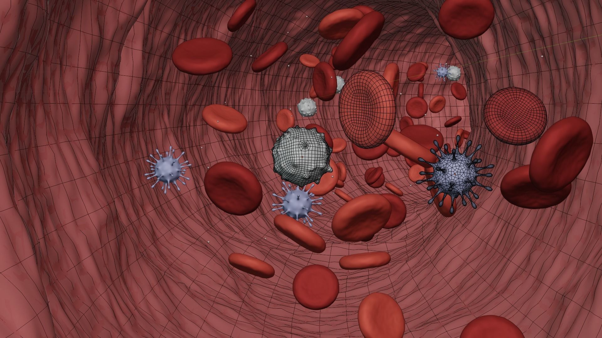 Blood Flow - Stream Animation 3D model_8