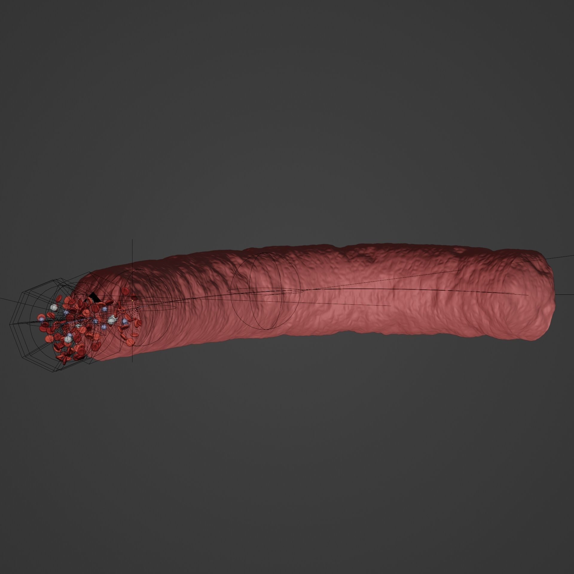Blood Flow - Stream Animation 3D model_10