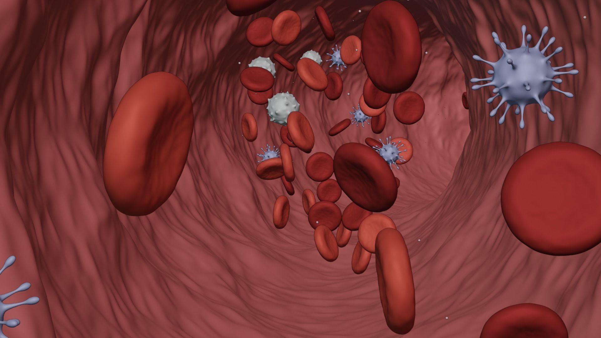 Blood Flow - Stream Animation 3D model_5