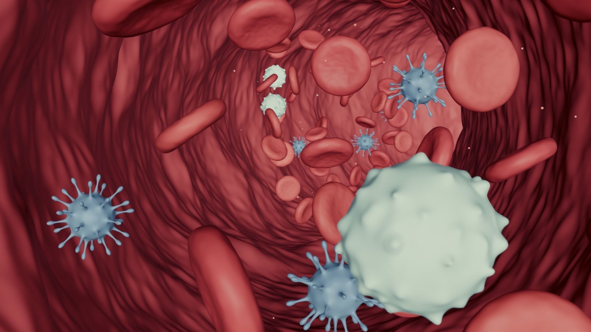 Blood Flow - Stream Animation 3D model_3