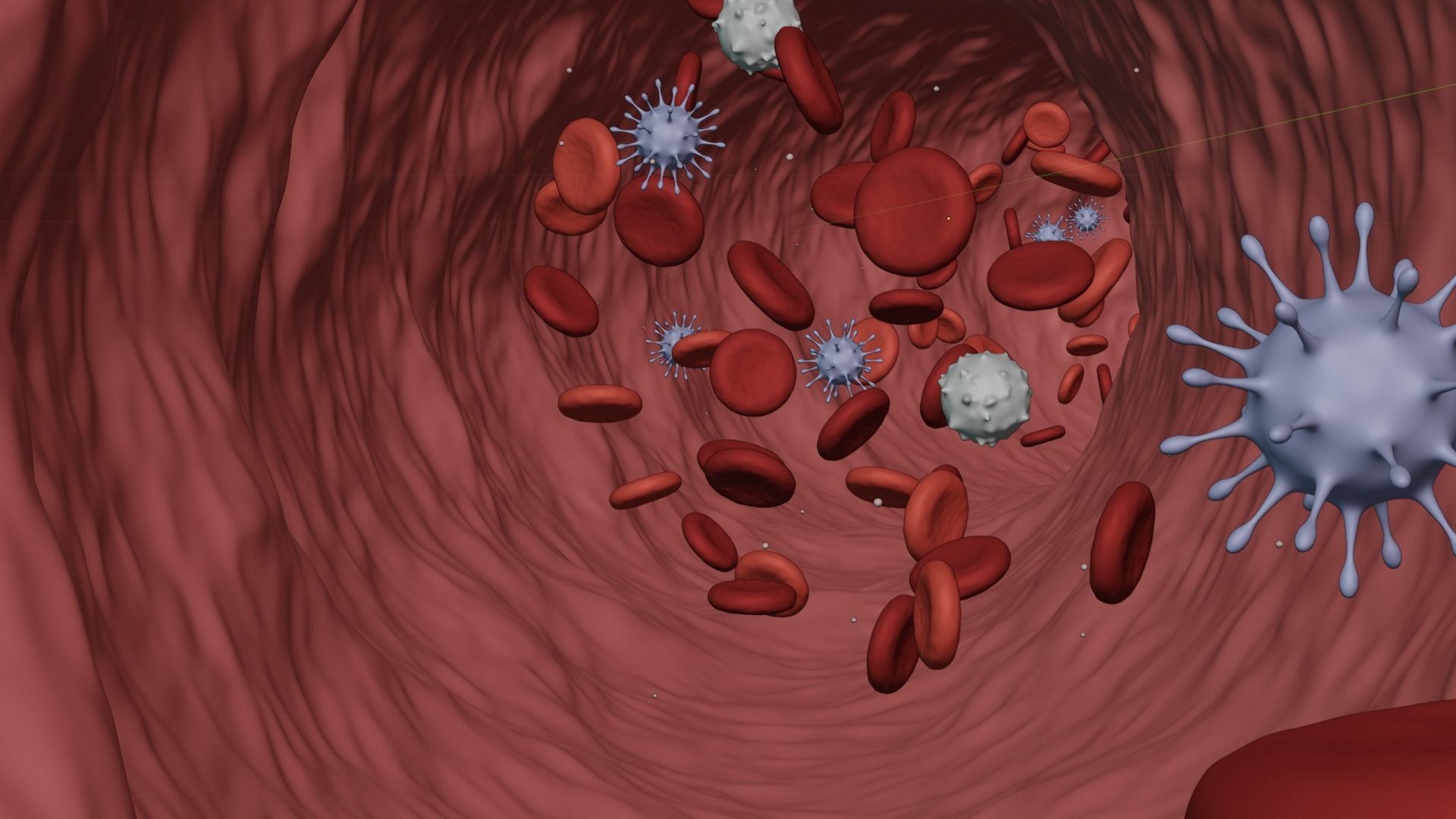 Blood Flow - Stream Animation 3D model_7