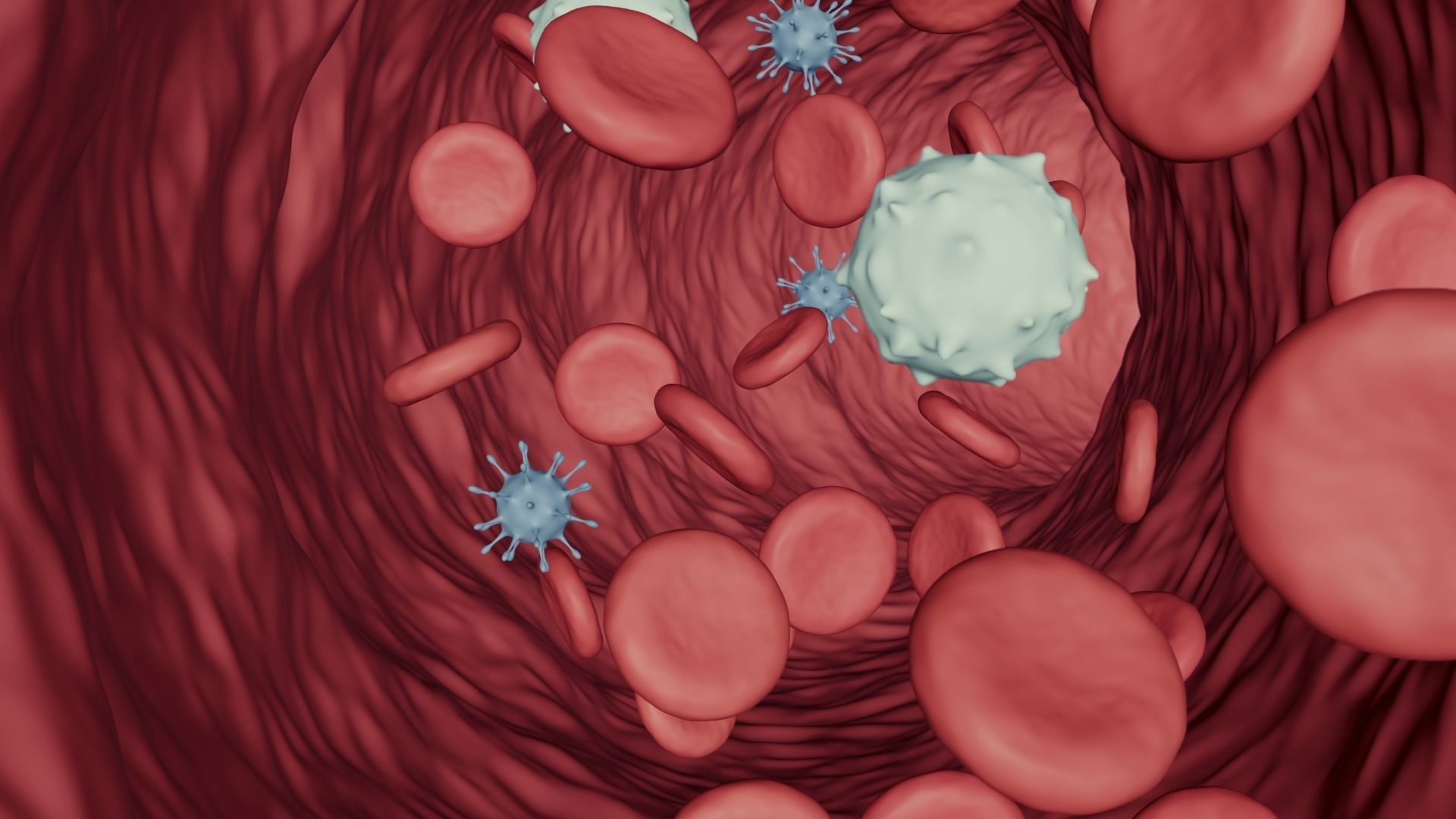 Blood Flow - Stream Animation 3D model_4