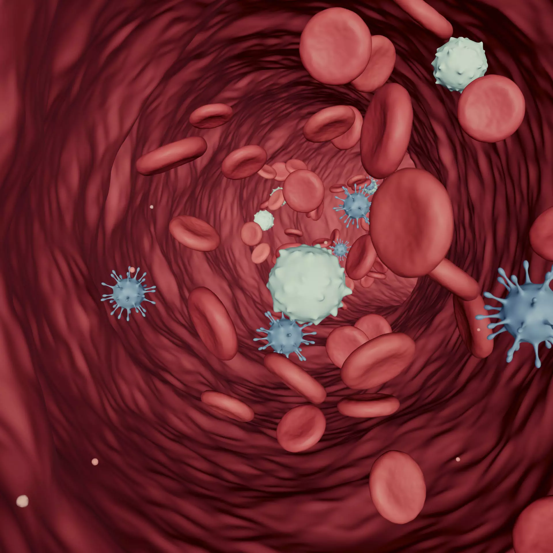 Blood Flow - Stream Animation 3D model_0