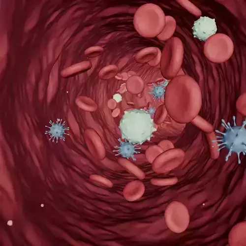 Blood Flow - Stream Animation 3D model