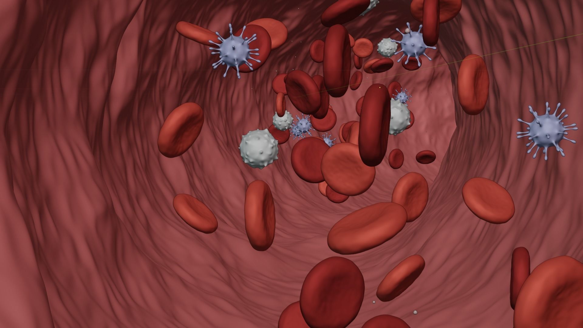 Blood Flow - Stream Animation 3D model_6