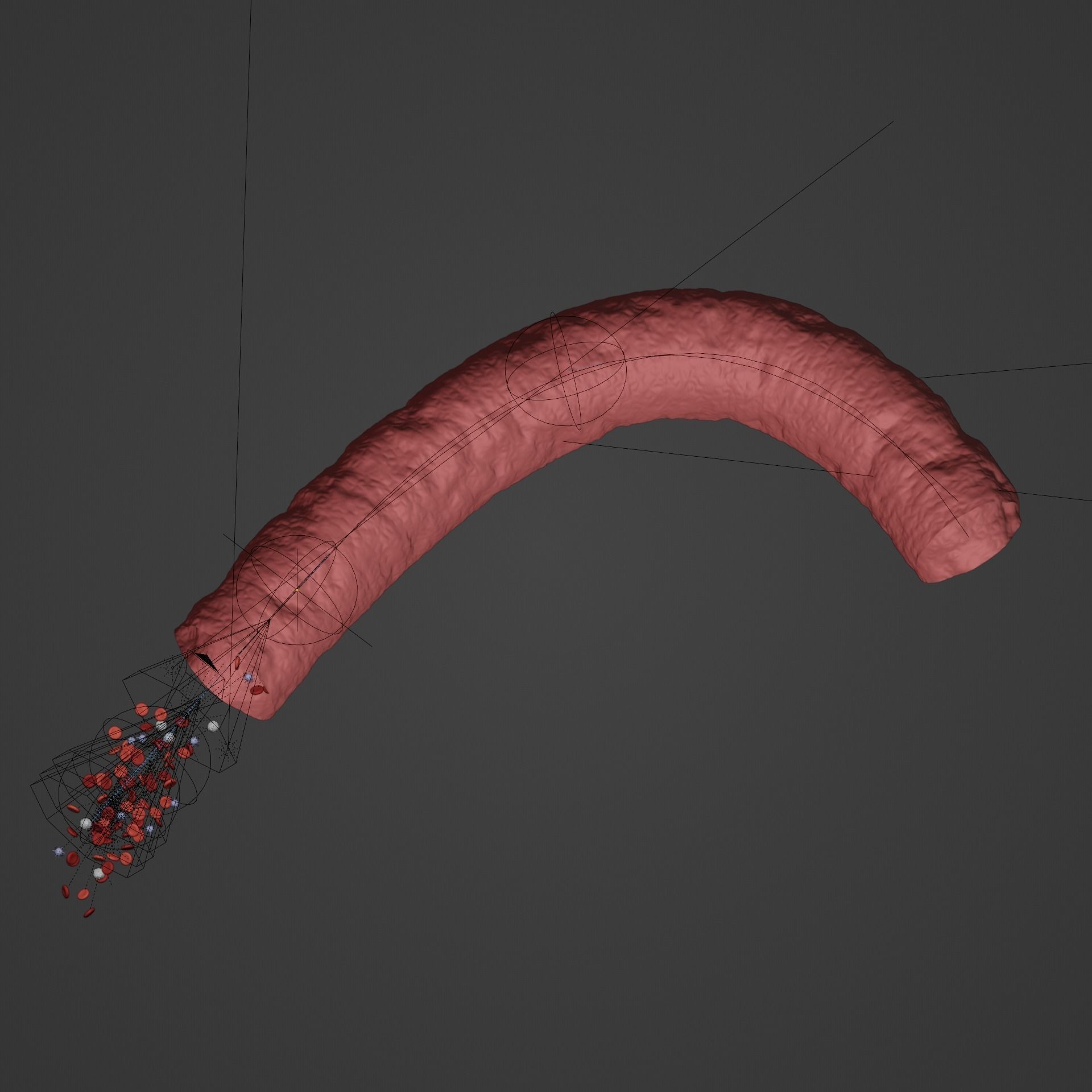 Blood Flow - Stream Animation 3D model_9