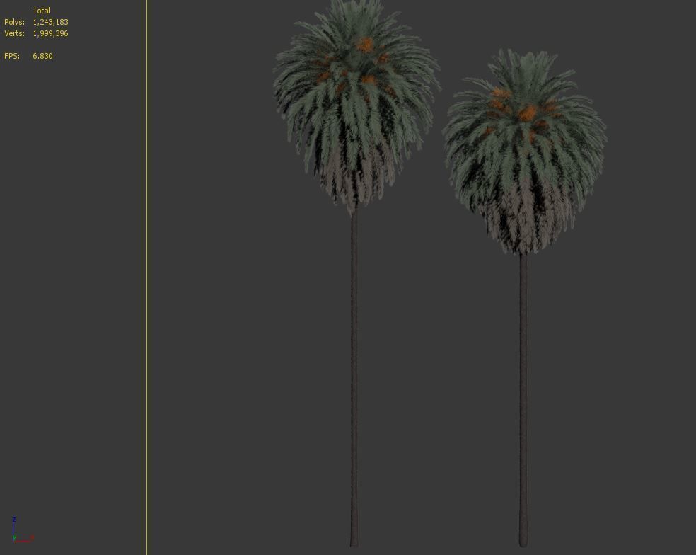 Phoenix Canariensis 03 3D model_5