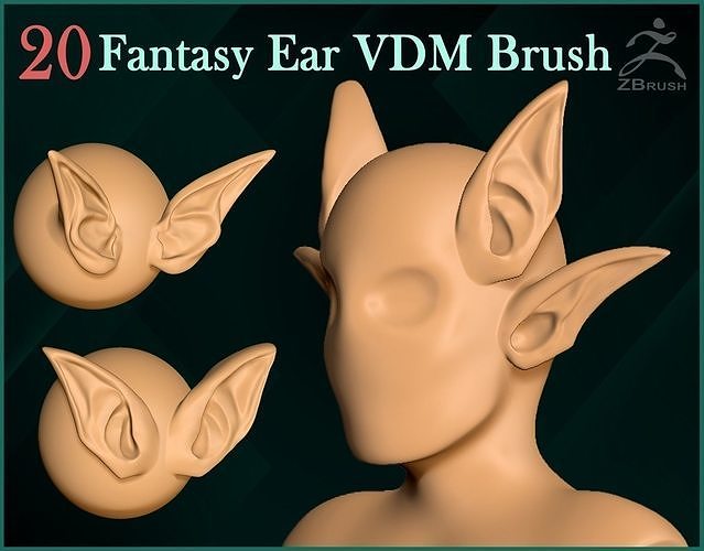 20 Fantasy Ear VDM Brush 3D model