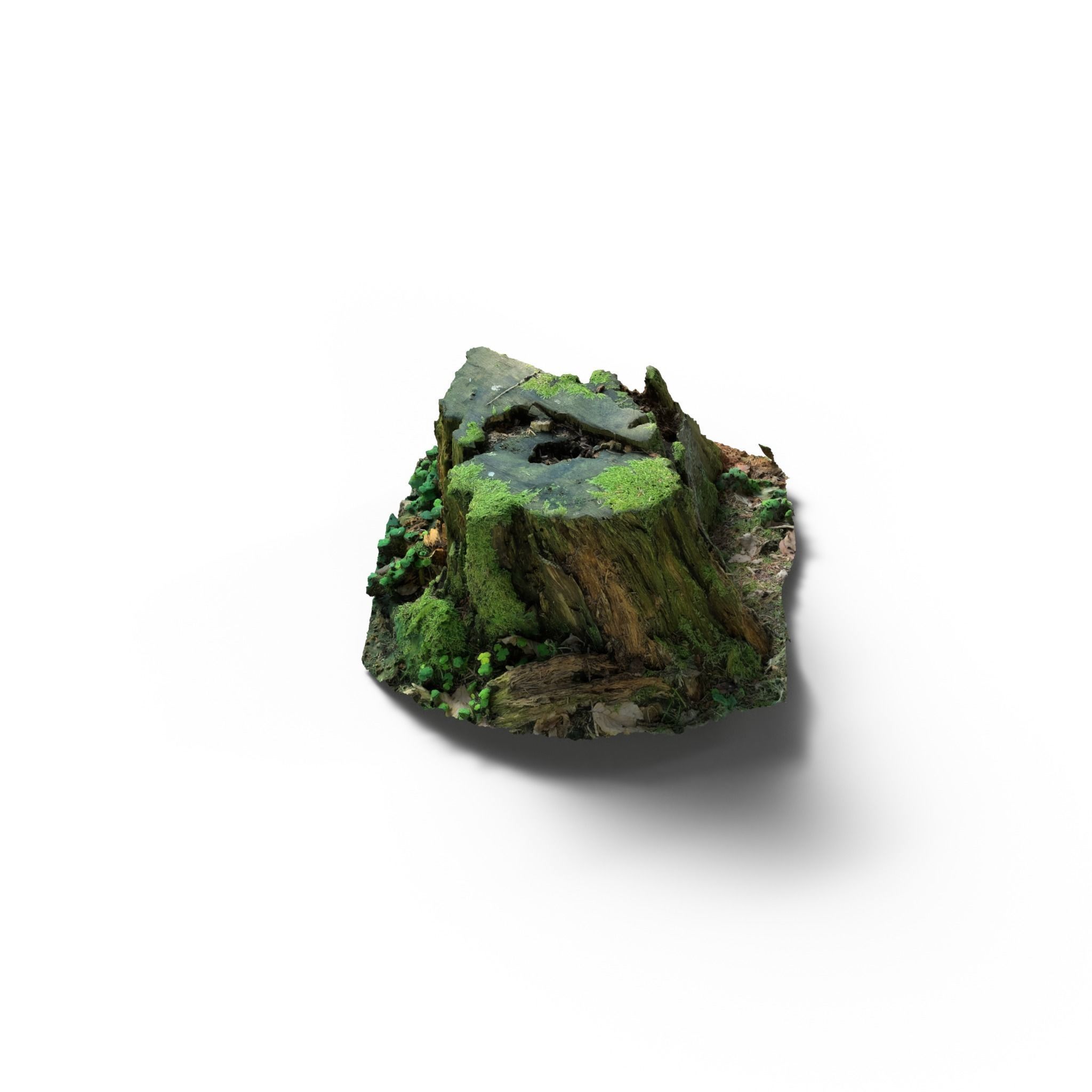 Forest Tree Stump 4K -Part 7- Free low-poly 3D model_4