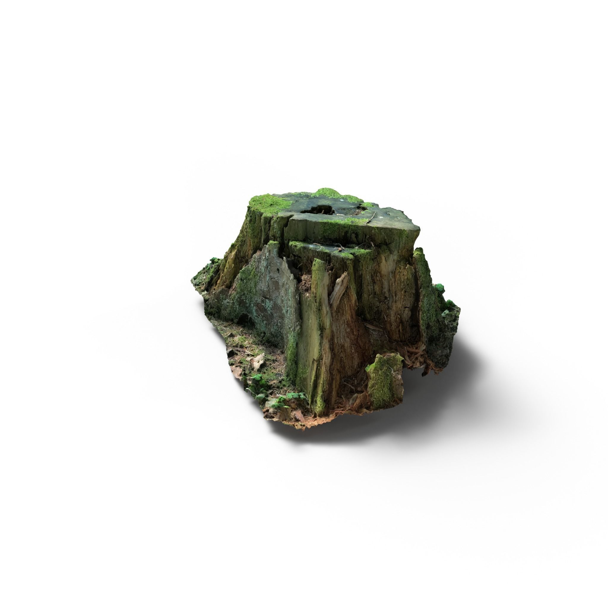 Forest Tree Stump 4K -Part 7- Free low-poly 3D model_2