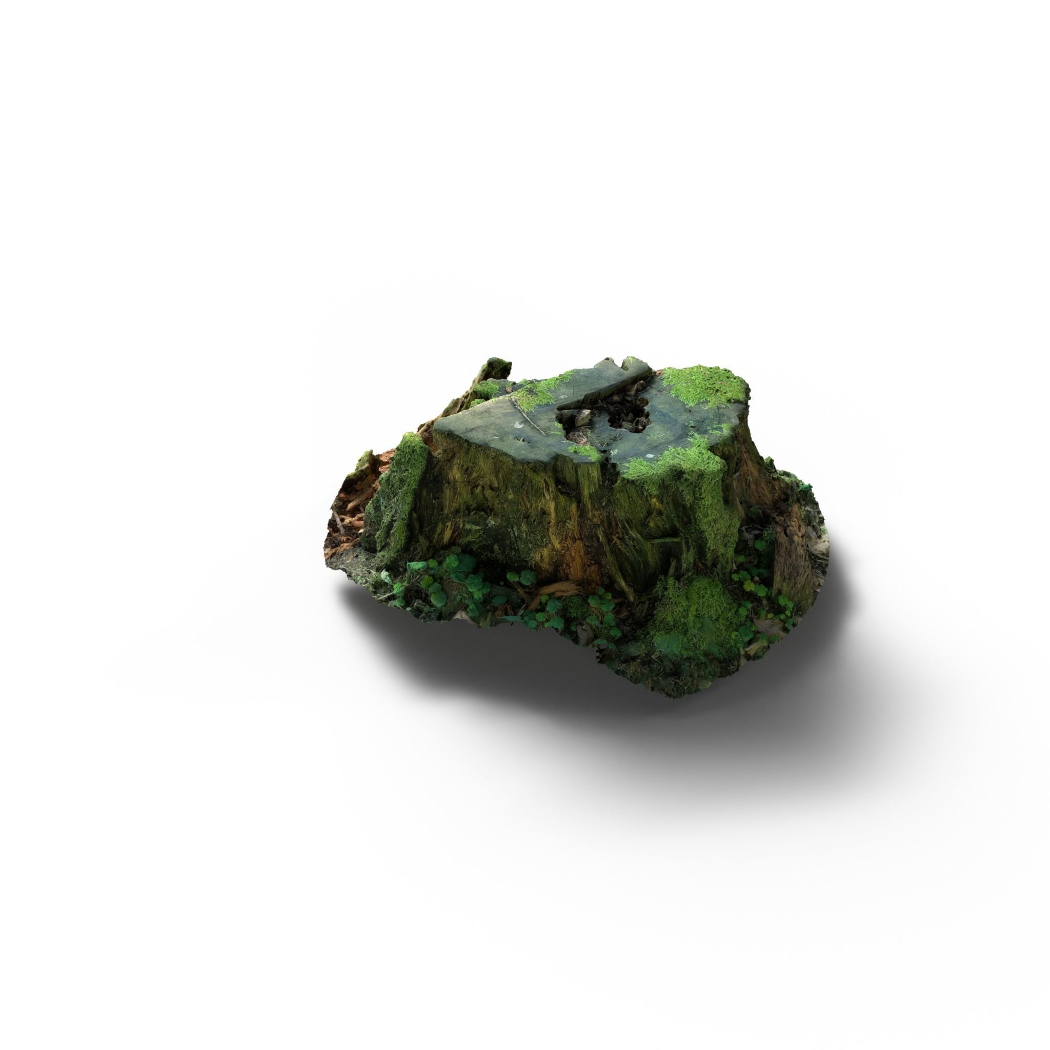 Forest Tree Stump 4K -Part 7- Free low-poly 3D model_3