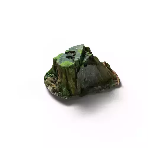 Forest Tree Stump 4K -Part 7- Free low-poly 3D model