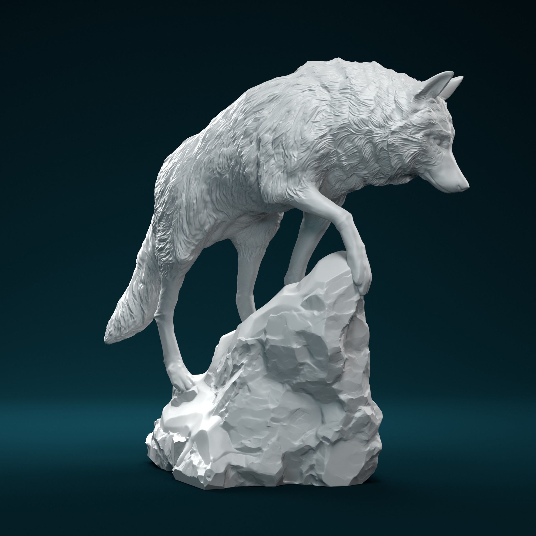 Snow Wolf 3D print model_2