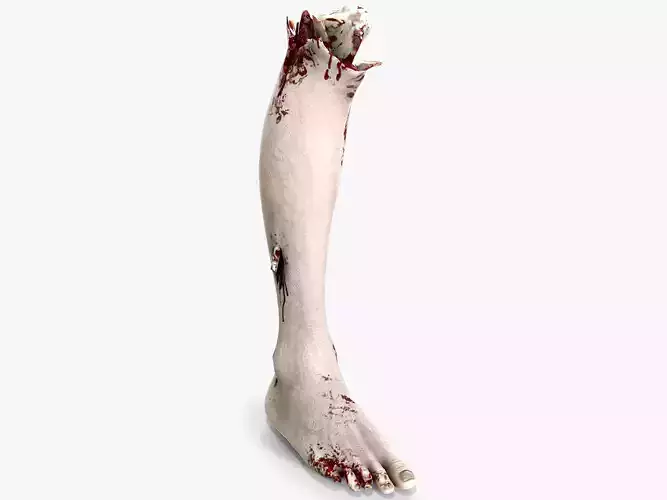 Severed Foot 2