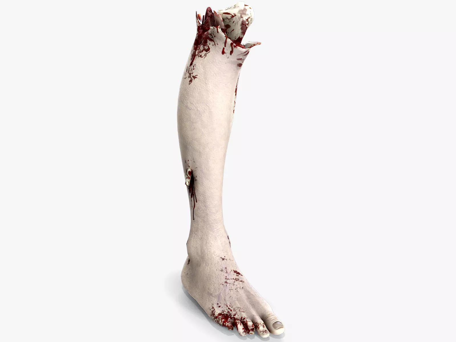 Severed Foot 2 Low-poly 3D model