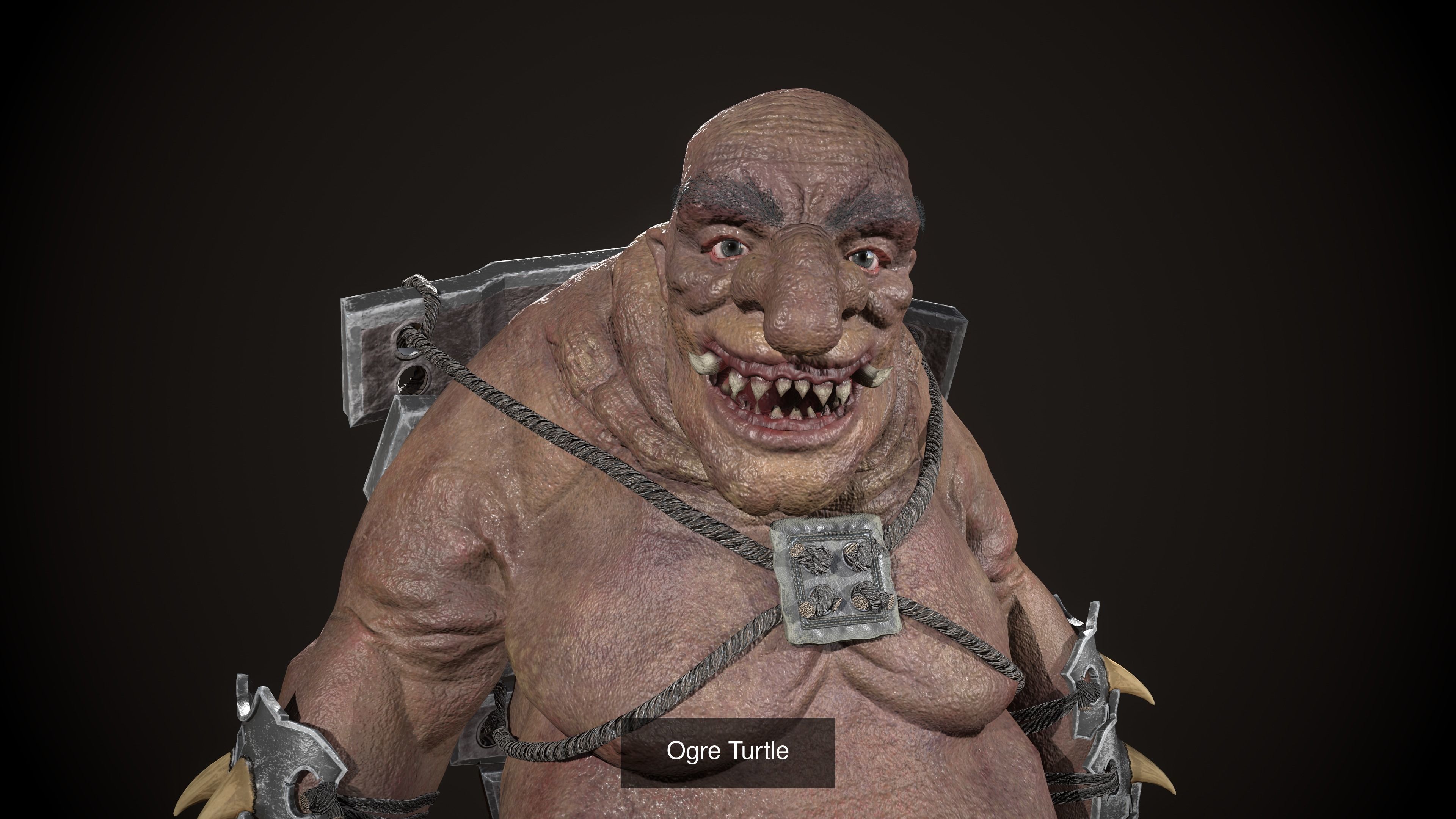 Ogre Turtle Pack 3D Model Collection_4