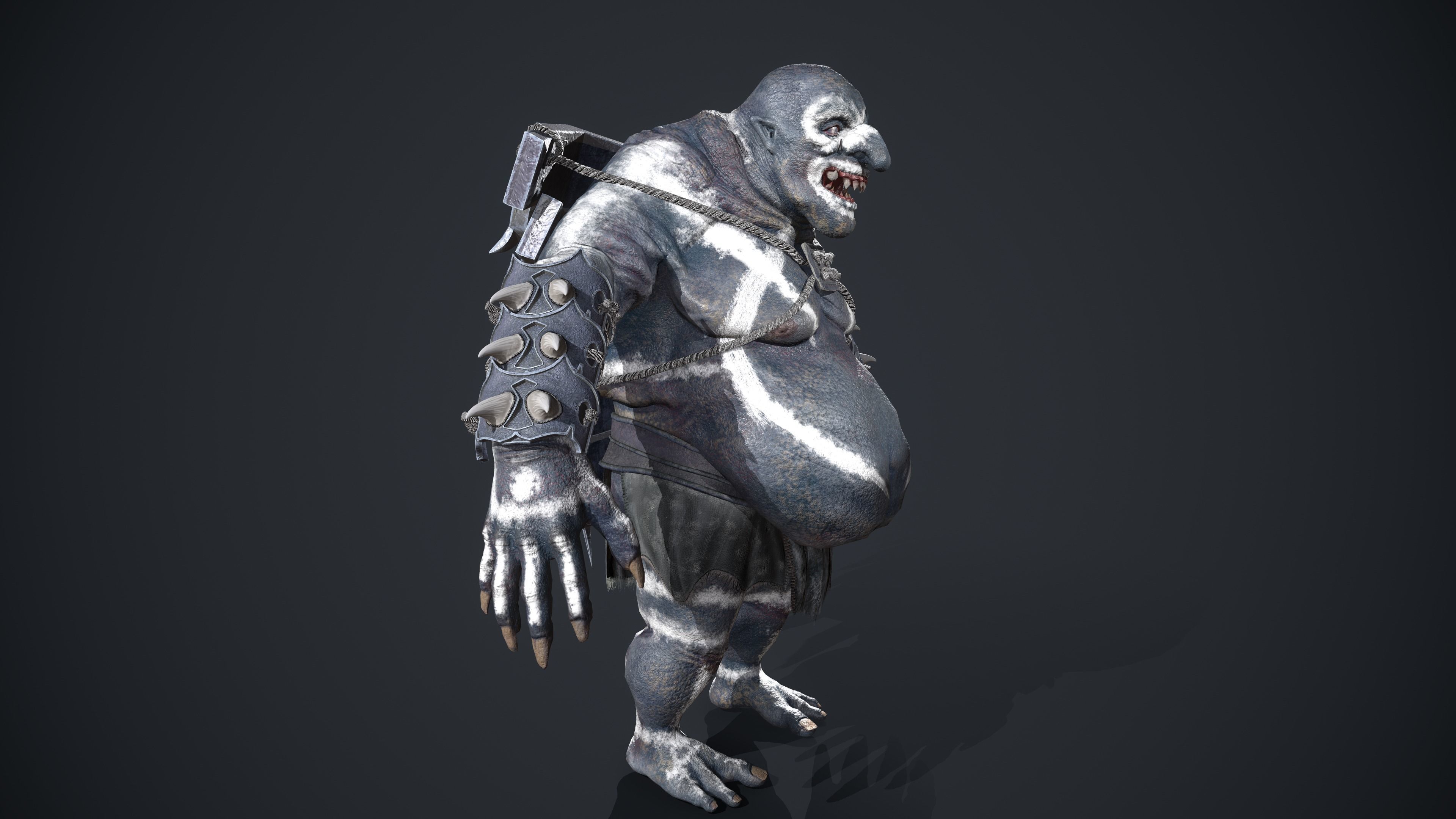 Ogre Turtle Pack 3D Model Collection_14