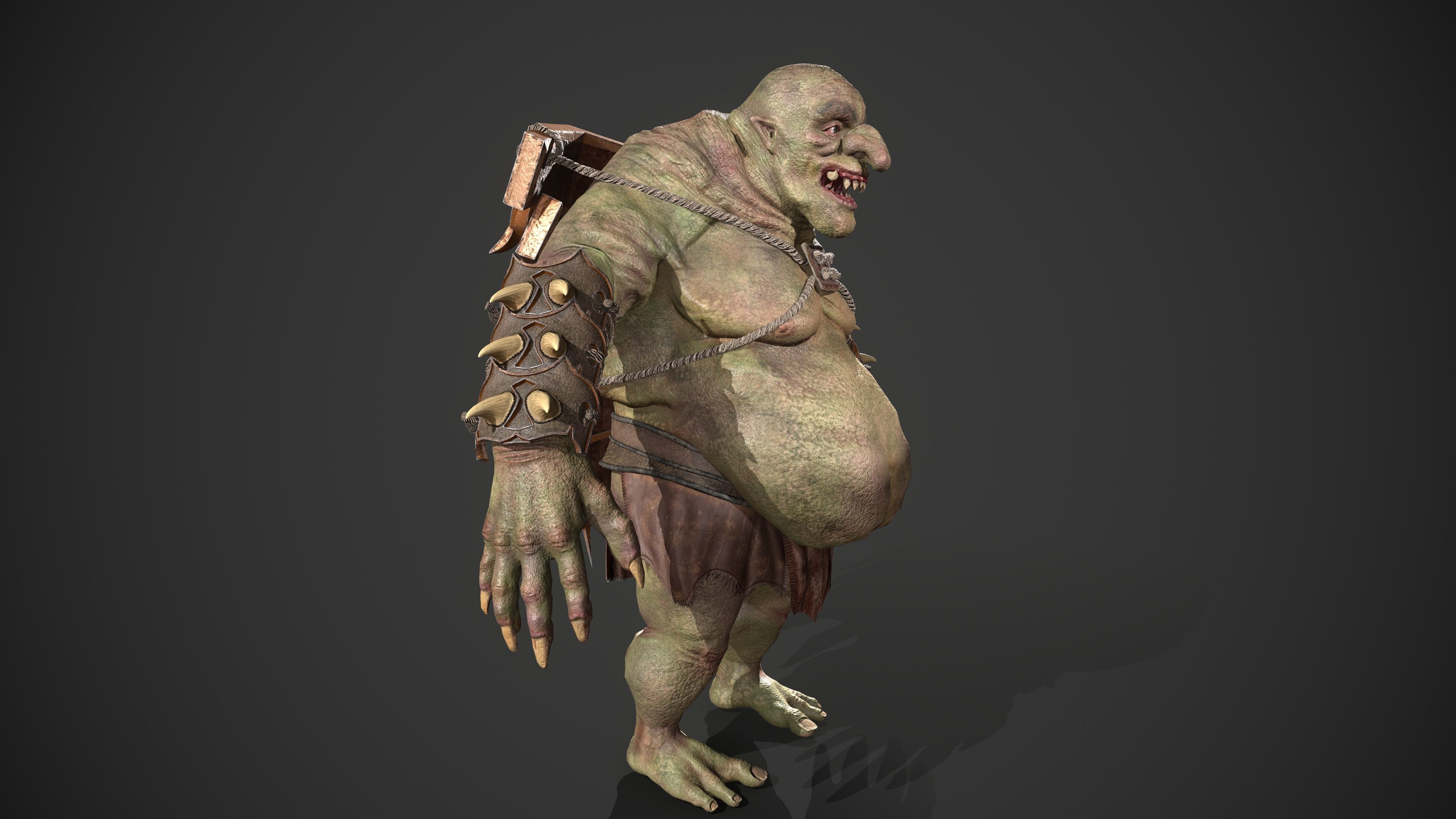 Ogre Turtle Pack 3D Model Collection_6
