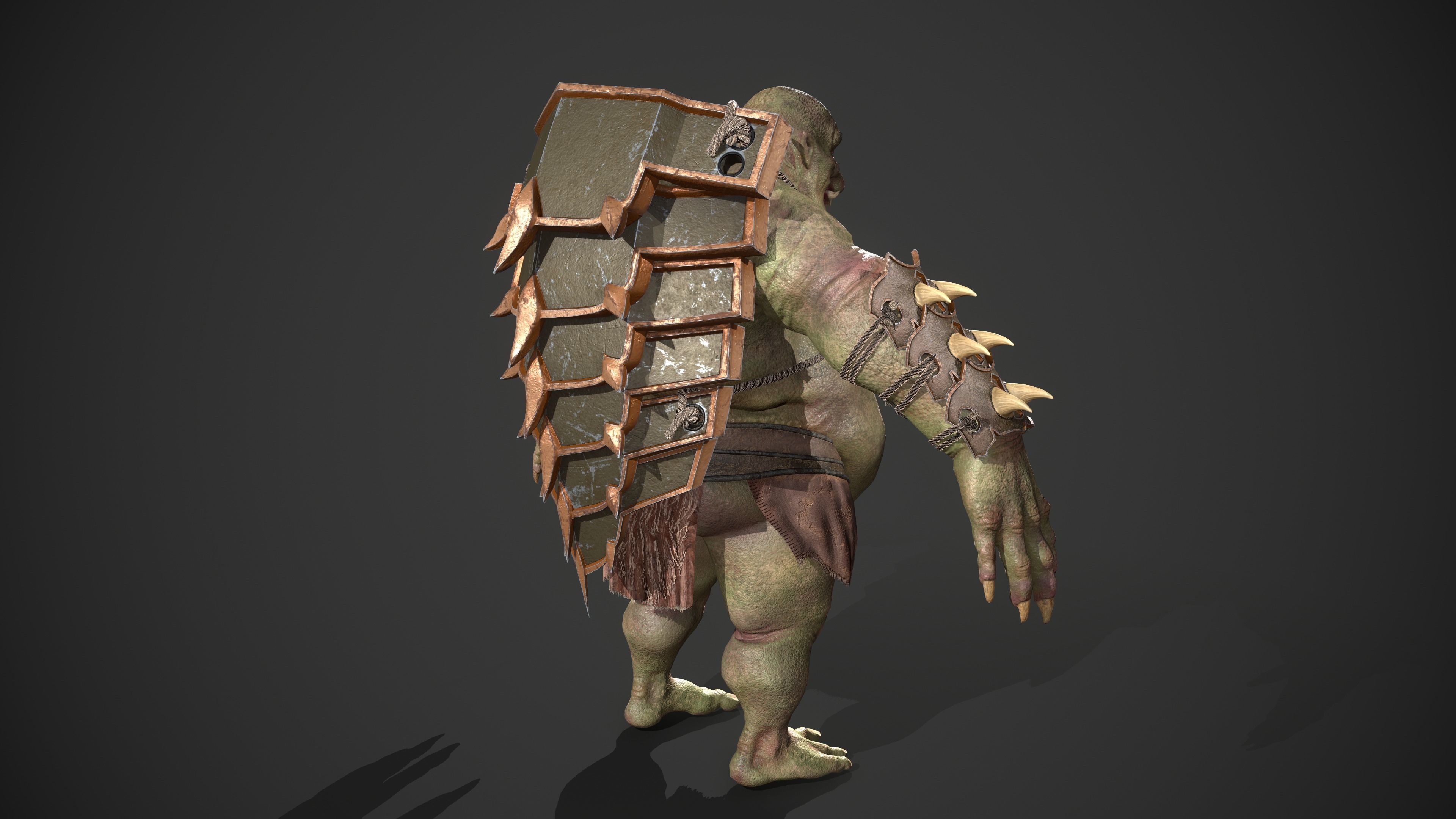 Ogre Turtle Pack 3D Model Collection_11