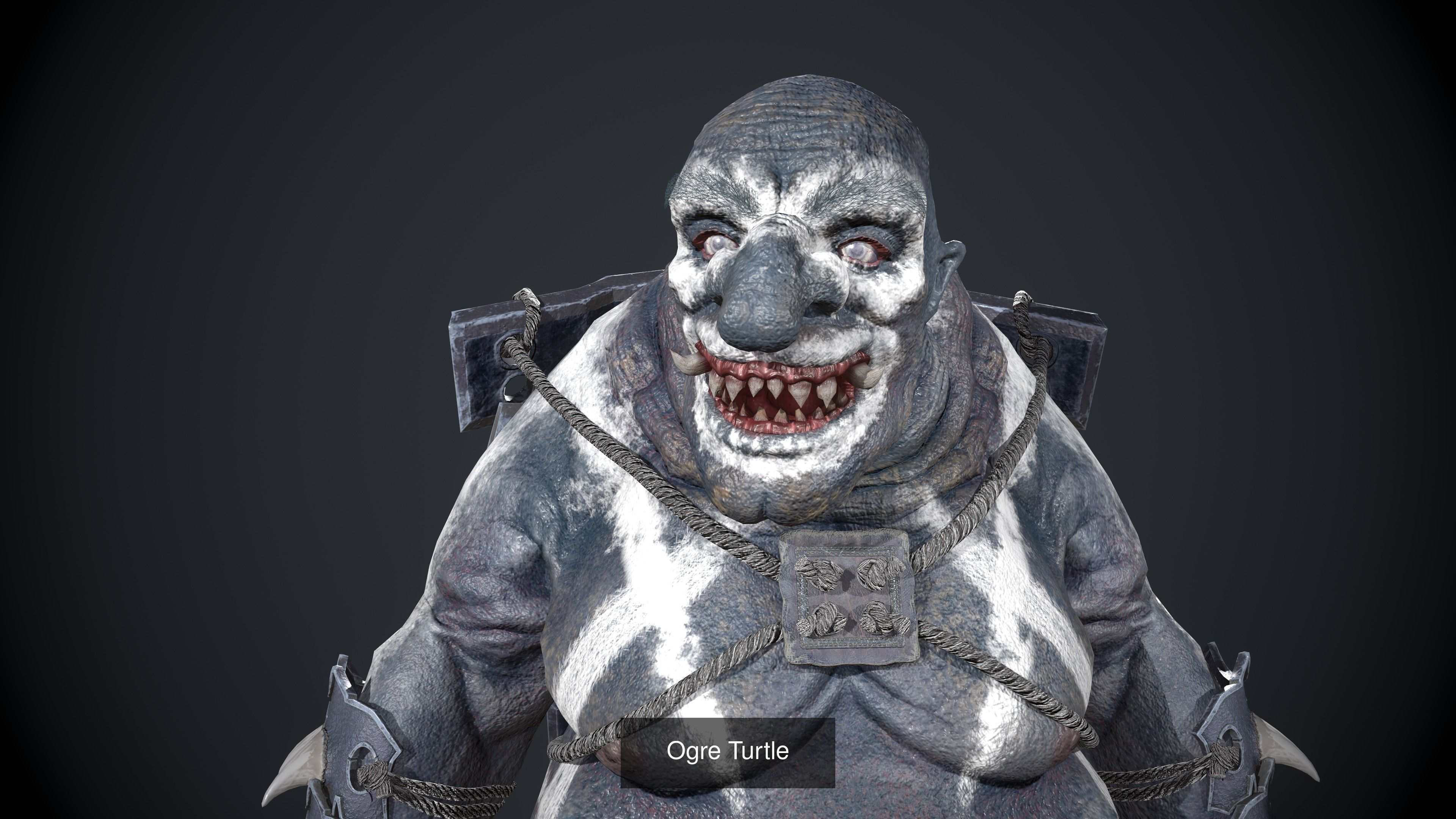 Ogre Turtle Pack 3D Model Collection_3