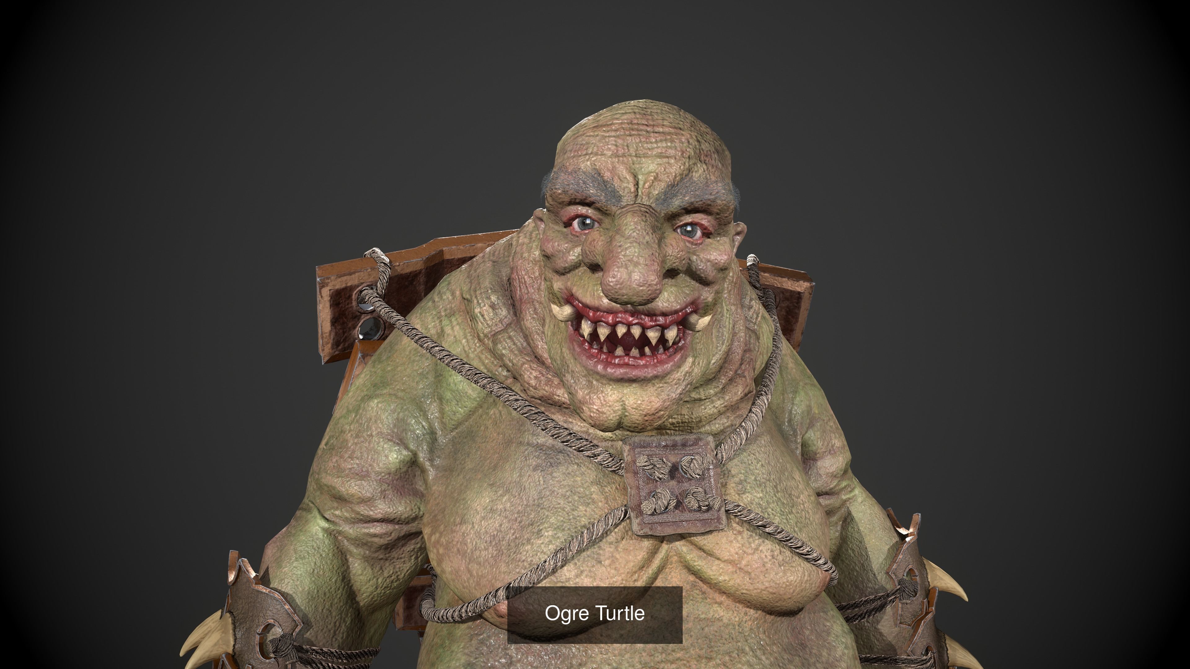Ogre Turtle Pack 3D Model Collection_2